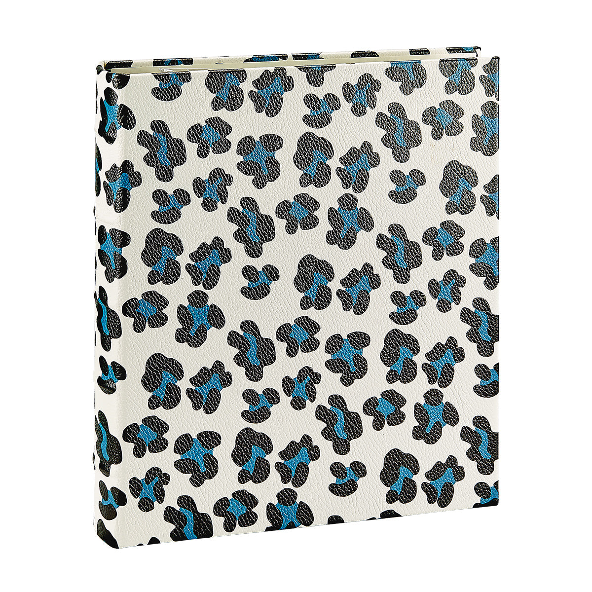 Large 3-Ring Clear Pocket Album
