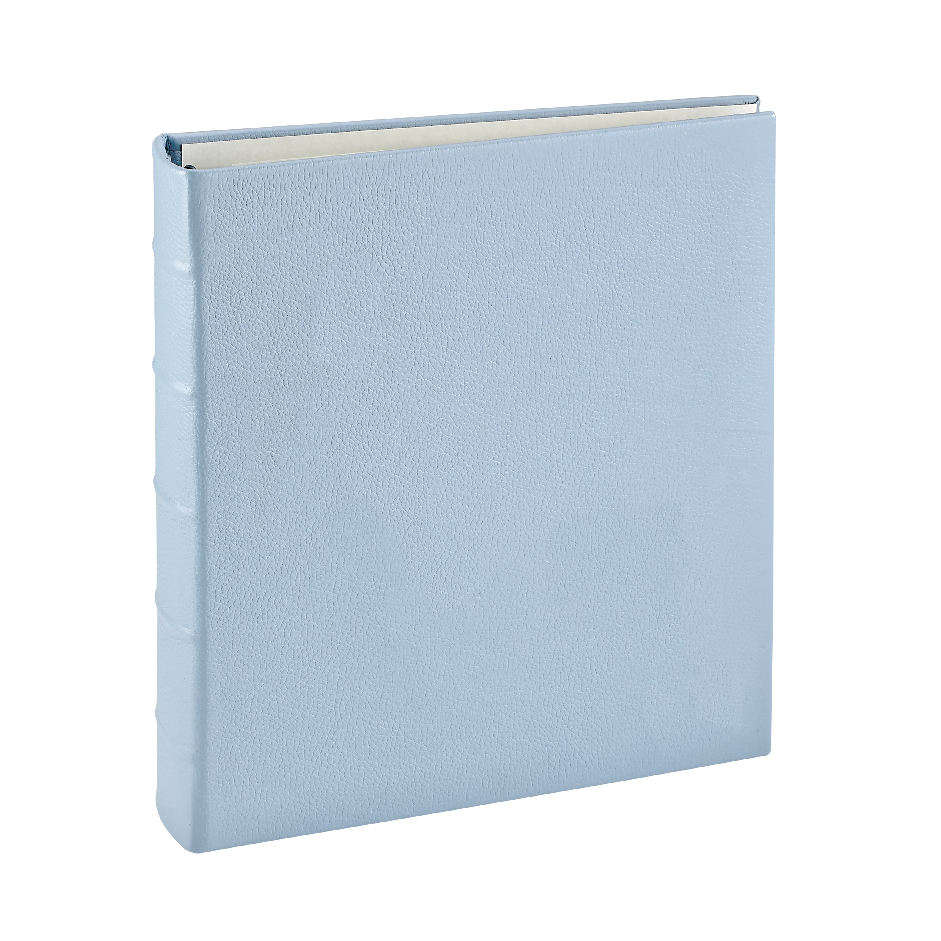 Large 3-Ring Clear Pocket Album