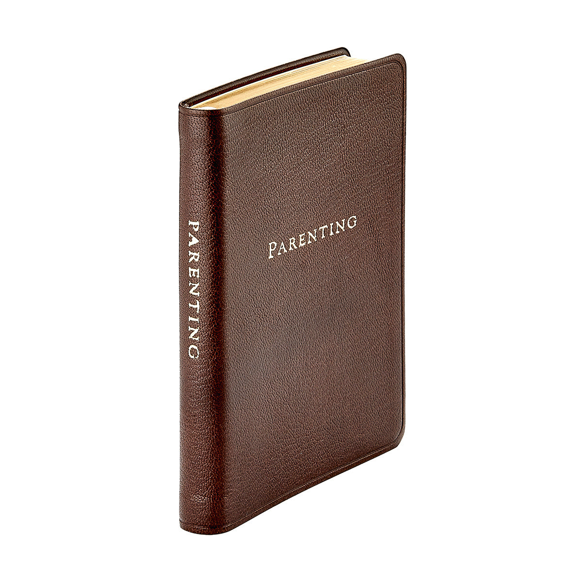 Parenting Journal
