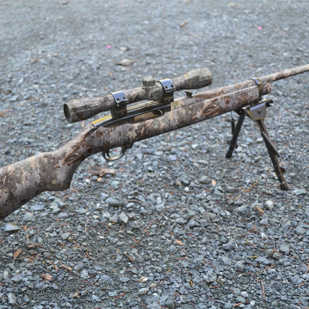 Rifle + Scope Skin Bundle (Legacy)