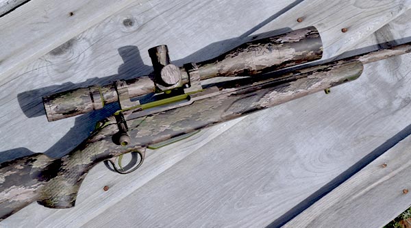 Rifle Skin Online now